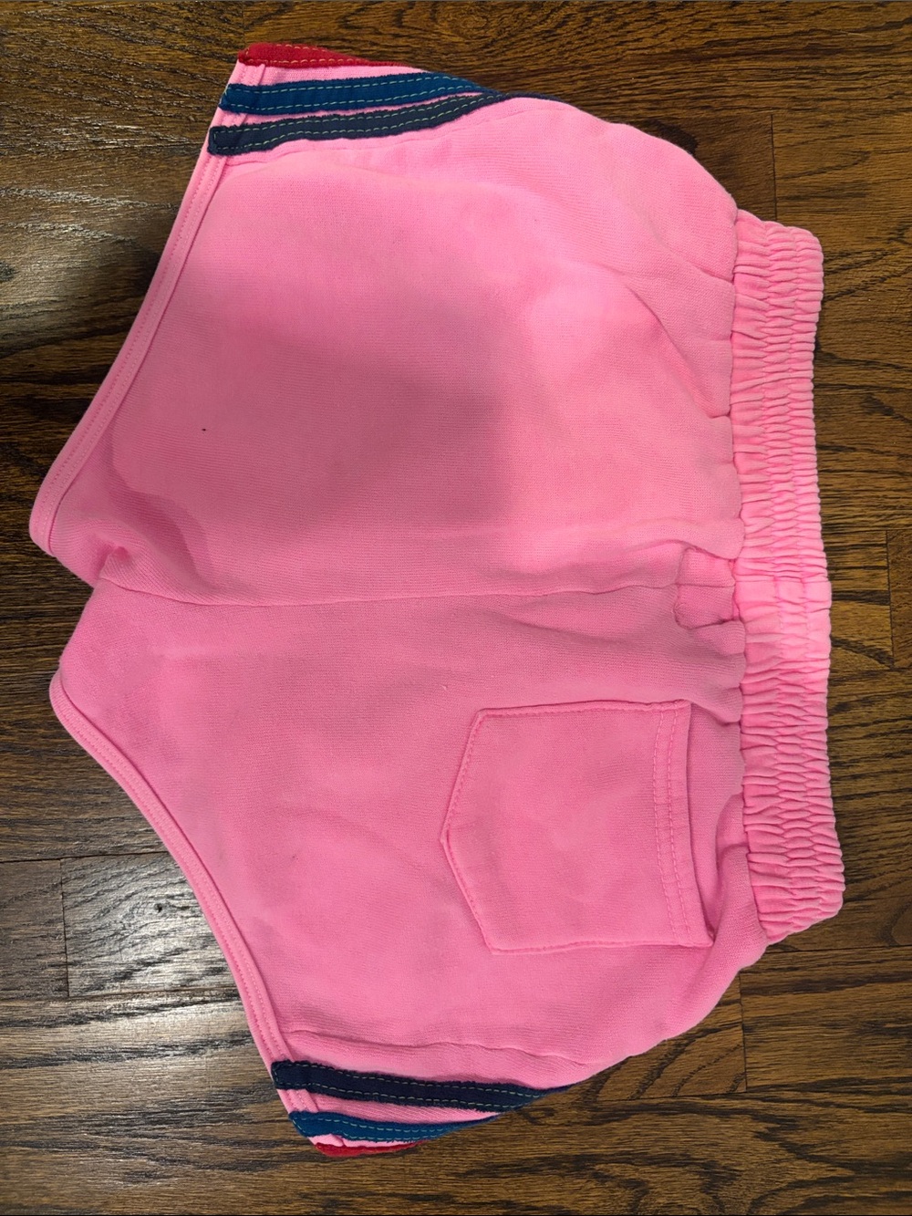 Aviator Nation Bubblegum Pink Rainbow Stripe Athletic Shorts - Picture 2 of 2